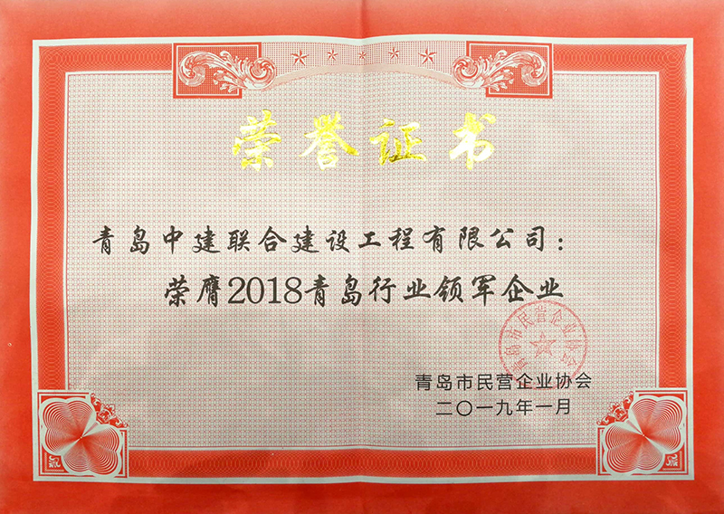 民營企業(yè)高質(zhì)量發(fā)展，德才集團再獲殊榮領(lǐng)跑民企(圖8)